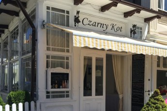 Czarny Kot