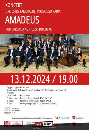 Piła Wydarzenie Koncert Orkiestra kameralna polskiego radia Amadeus