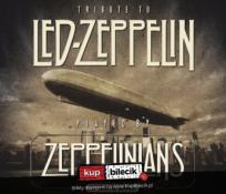 Trzcianka Wydarzenie Koncert LED-ZEPPELIN SHOW by Zeppelinians